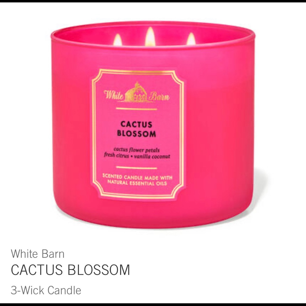 New BB&W cactus blossom 3wick candle